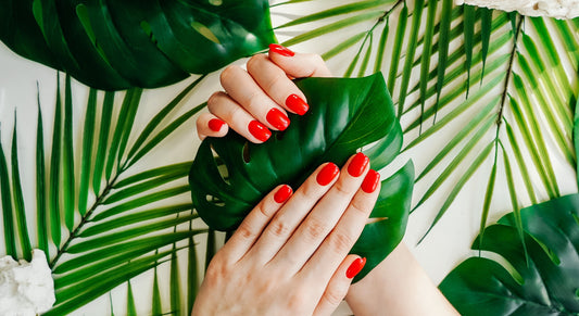 Toutes les explications sur les faux ongles réutilisables et où en acheter.1) Repousser les cuticules avec un bâtonnet 2) Matifier l'ongle naturel avec un bloc polissoir 3) Nettoyer l'ongle avec un coton imbibé d'alcool 